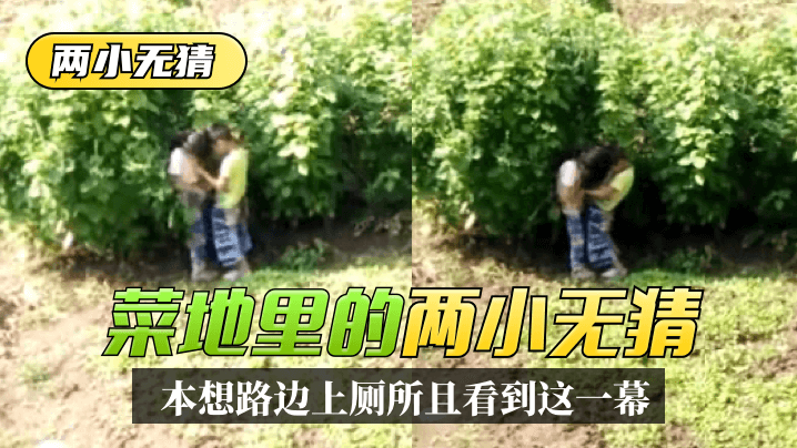 【两小无猜】本想路边上厕所,没想到一抬头菜地里看到这一幕 【两小无猜】本想路边上厕所,没想到一抬头菜地里看到这一幕